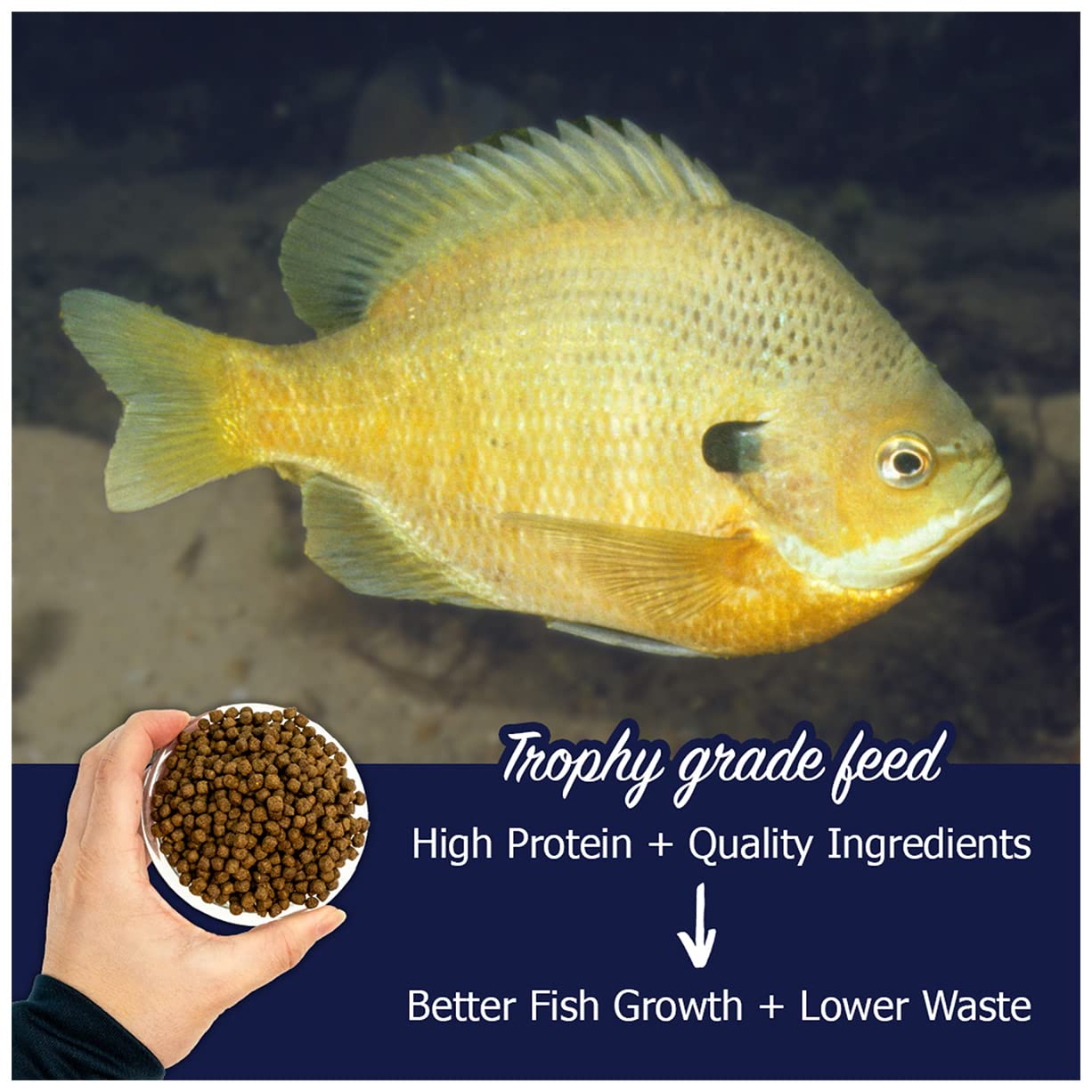Natural Waterscapes Game Fish Food Variety | 40 lb Bulk Fish Food Pellets | Feed to Bass, Bluegill, Trout, Catfish, Tilapia