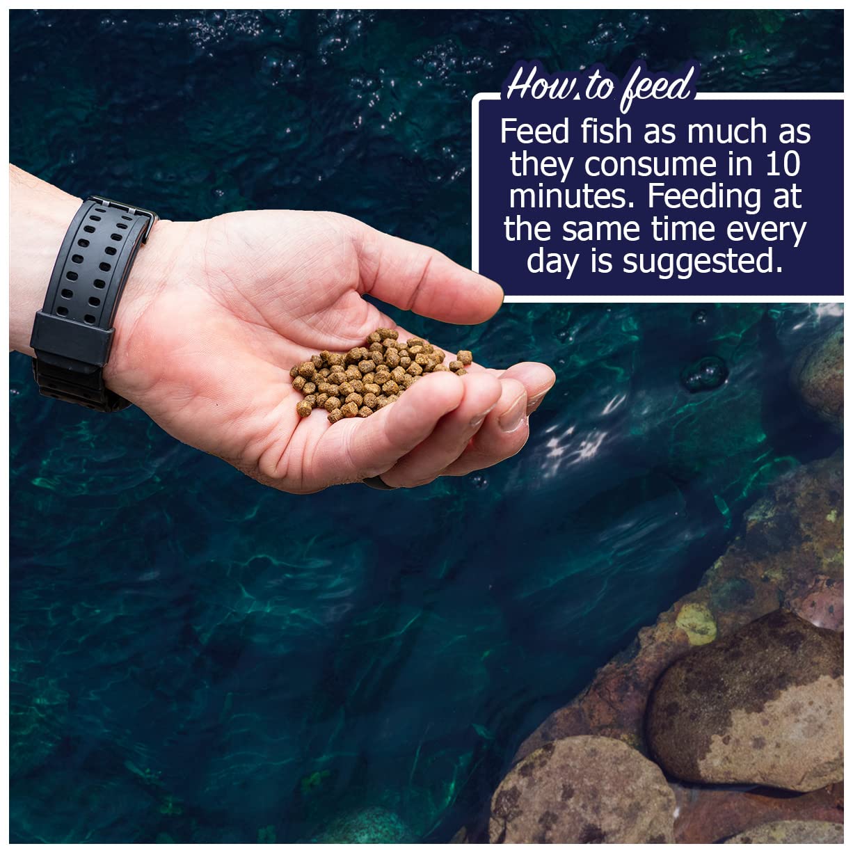 Natural Waterscapes Game Fish Food Variety | 40 lb Bulk Fish Food Pellets | Feed to Bass, Bluegill, Trout, Catfish, Tilapia