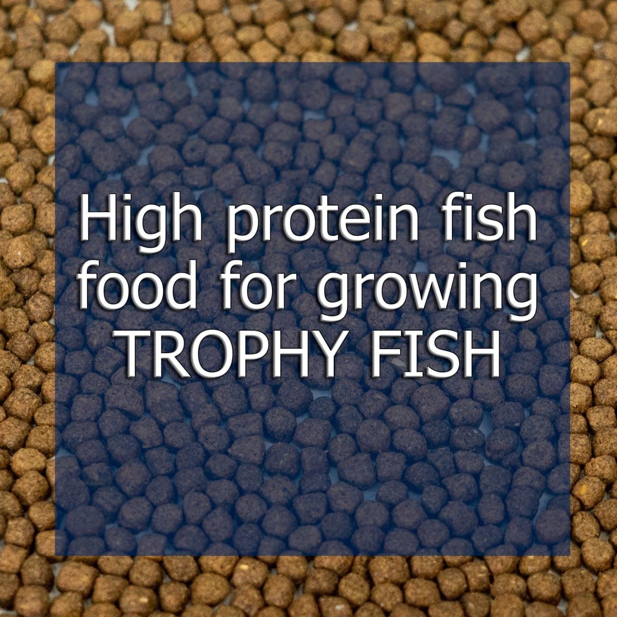 Natural Waterscapes Game Fish Food Variety | Pond and Lake Fish Food Pellets | 22 lb Bag | Feed to Bass, Bluegill, Trout, Catfish, tilapia | Floating Pellets