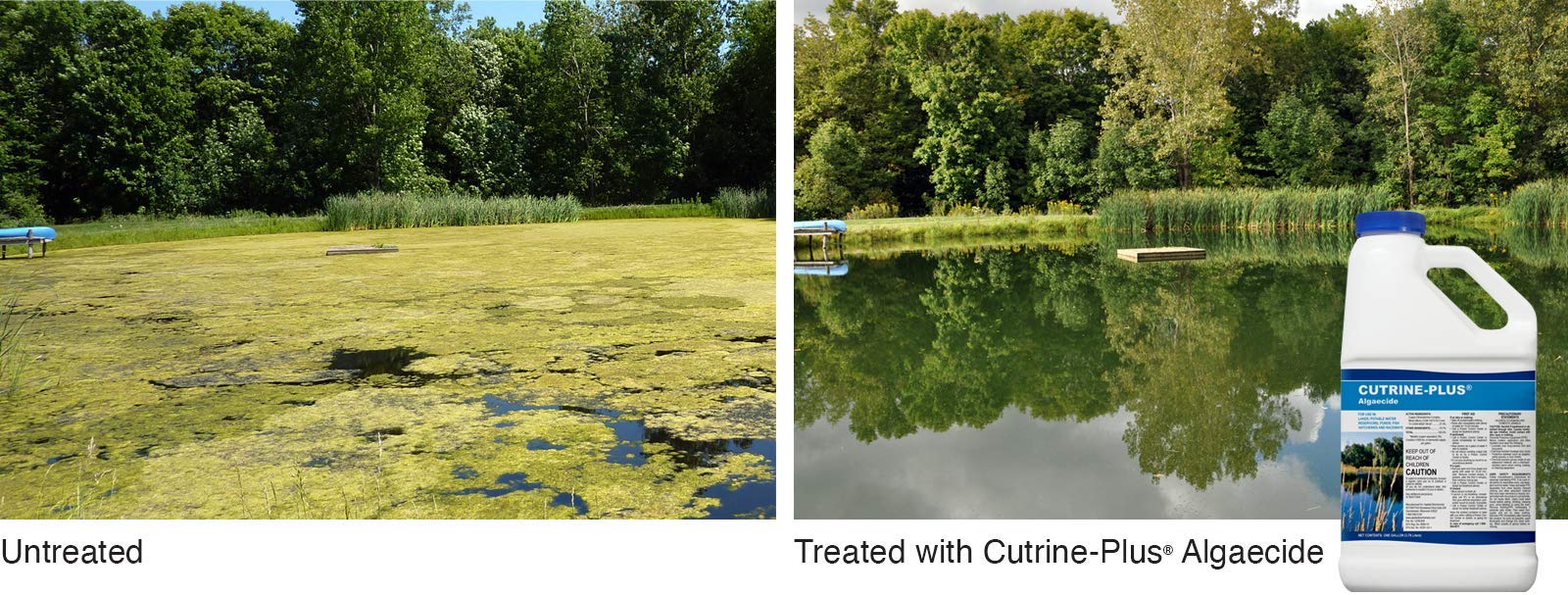 APPLIED BIOCHEMISTS All-in-One Vegetation Control Bundle - Knock Down Algae Effectively & Control Weeds Systemically (Cutrine Plus + Sonar RTU)
