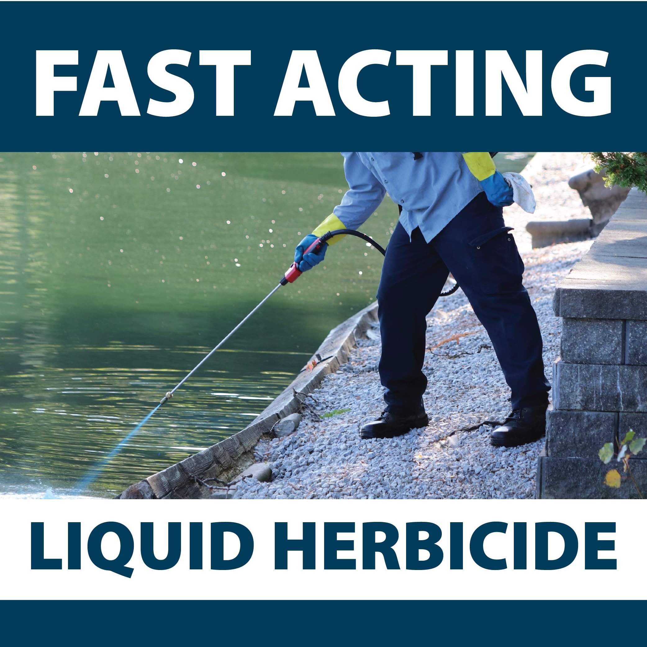 Airmax Shoreline Defense Emergent Weed Control Concentrated Treatment, Aquatic Herbicide (Glyphosate) for Phragmites, Pond Grass & Cattails, 1 Quart