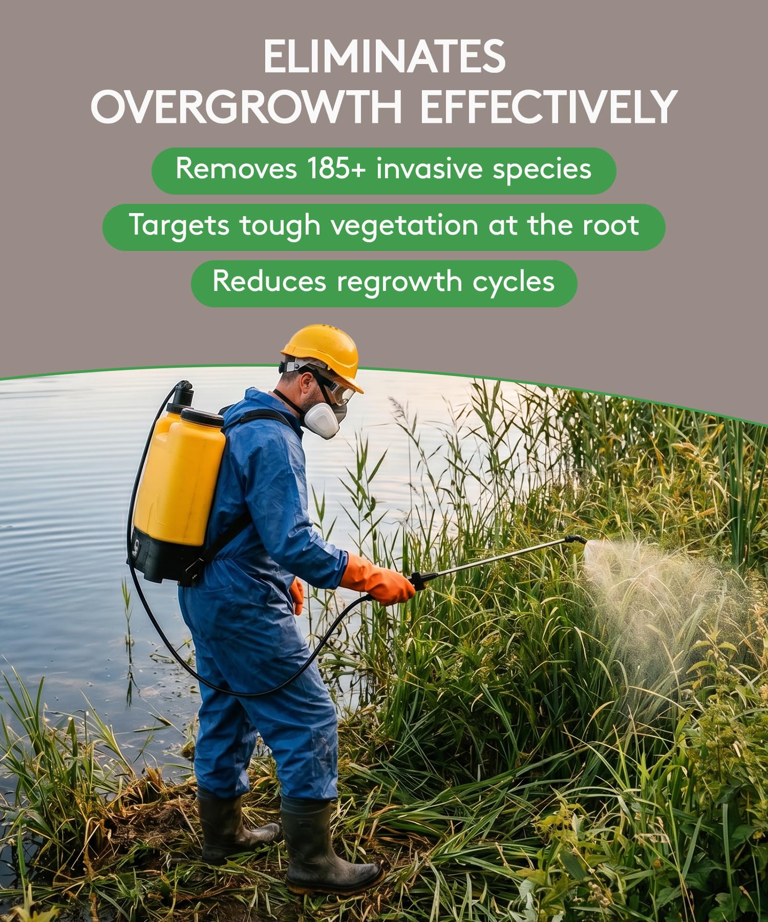 Alligare Ecomazapyr 2 SL Herbicide - Broad-Spectrum Brush & Weed Killer for Aquatic/Terrestrial Areas - Grass and Weed killer for Trees, Brush, Emergent Aquatic Vegetation - 27.8% Imazapyr, 2.5 Gallon