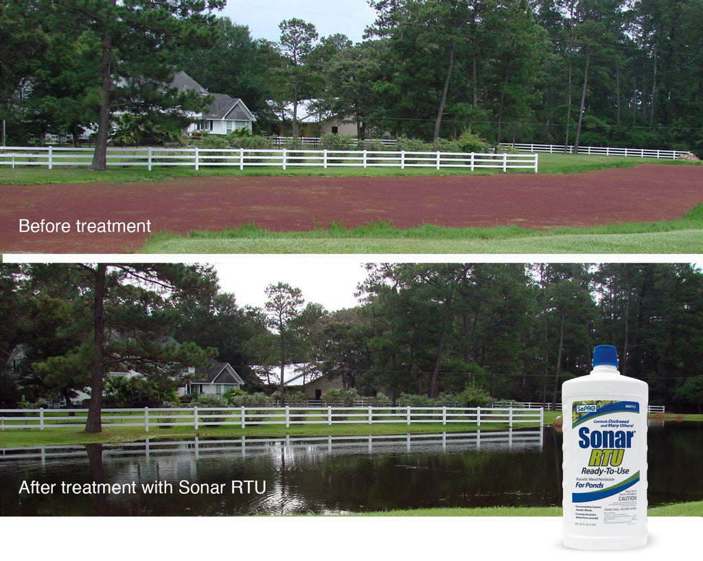 Sonar RTU (Ready-to-Use) Aquatic Herbicide 1 Quart, Systemic Weed Control for Duckweed and More - No Mixing or Equipment Needed - EPA Approved, Season-Long Treatment, Safe for Fish & Wildlife