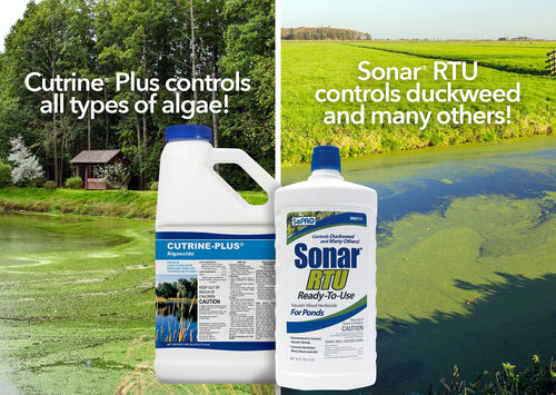 APPLIED BIOCHEMISTS All-in-One Vegetation Control Bundle - Knock Down Algae Effectively & Control Weeds Systemically (Cutrine Plus + Sonar RTU)