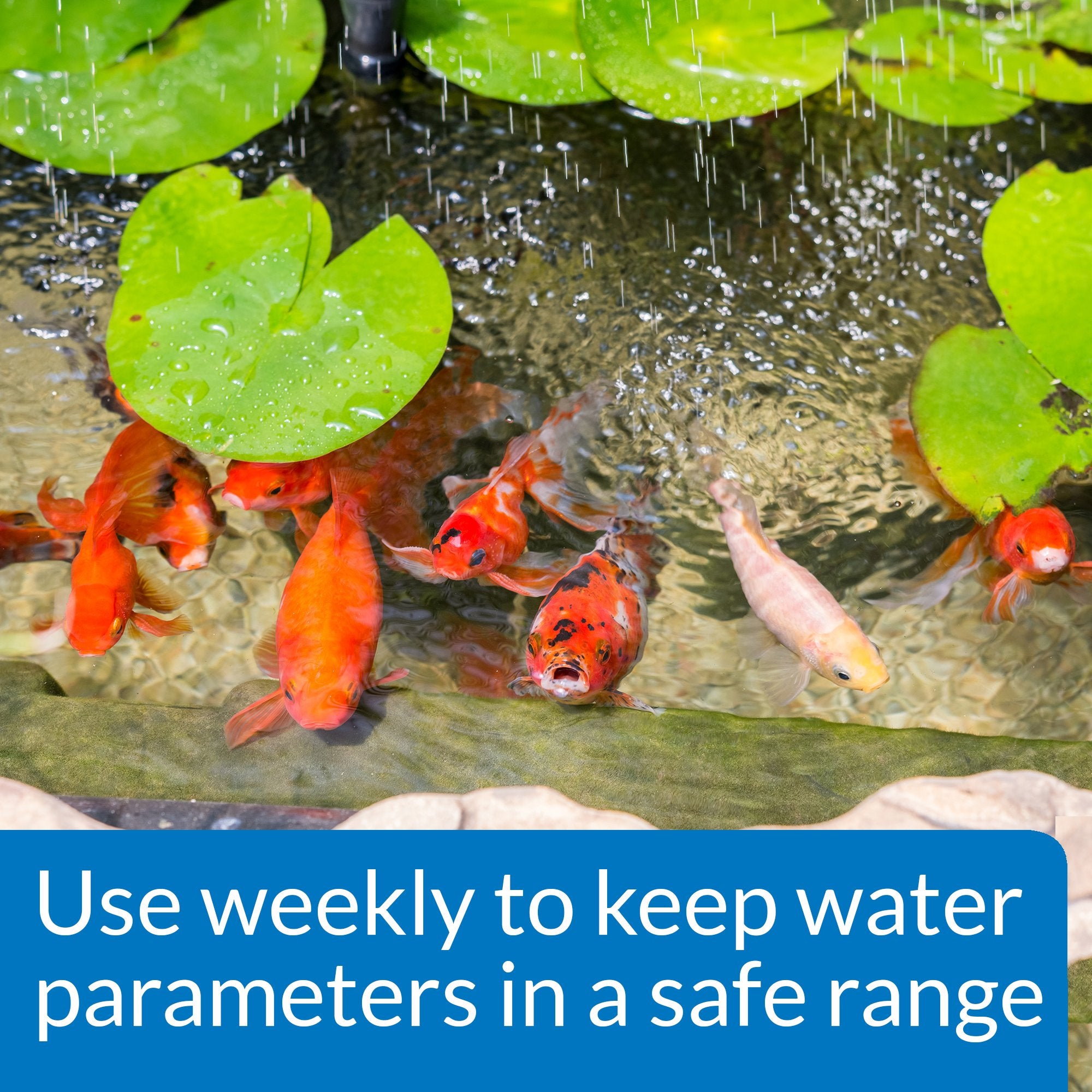 API POND MASTER TEST KIT Pond Water Test Kit 500-Test
