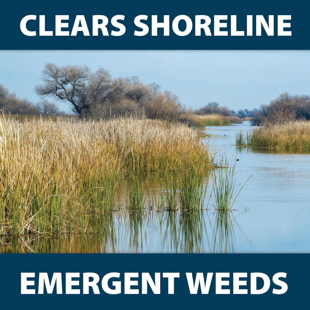 Airmax Shoreline Defense Emergent Weed Control Concentrated Treatment, Aquatic Herbicide (Glyphosate) for Phragmites, Pond Grass & Cattails, 1 Quart